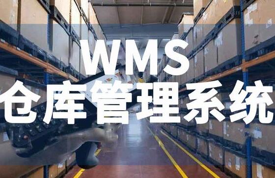 高效倉(cāng)庫(kù)管理：從傳統(tǒng)到智能，只差一個(gè)WMS系統(tǒng)
